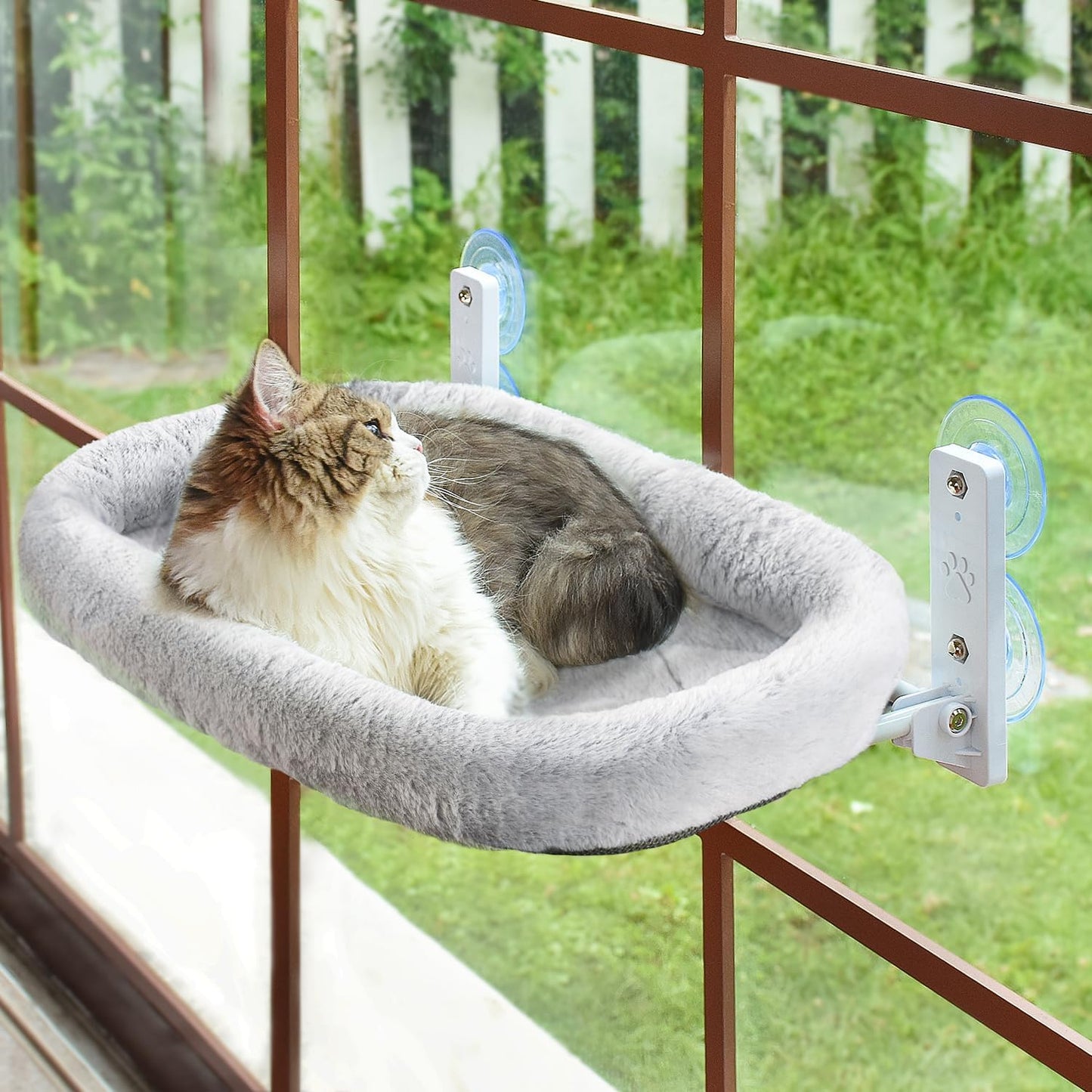 The Cat TV Bundle — Window Bed + 4 Free Gifts